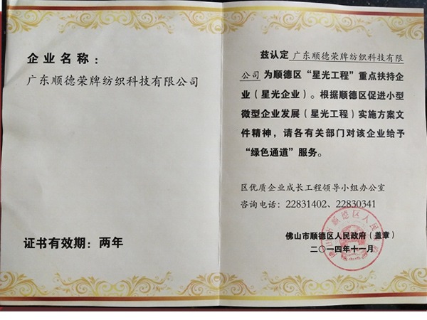 逐梦国际pg荣获政府重点扶持企业